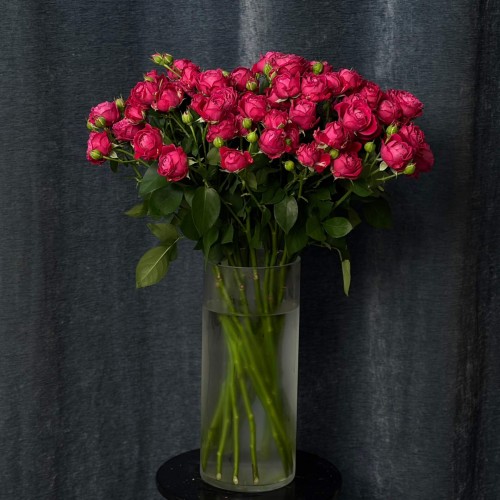 Marvelous Bubbles Spray Peony Rose