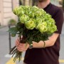 Троянда півонієвидна Veggie