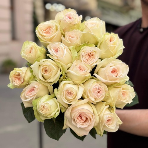 Fragrant White O'Hara Peony Rose