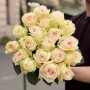Fragrant White O'Hara Peony Rose