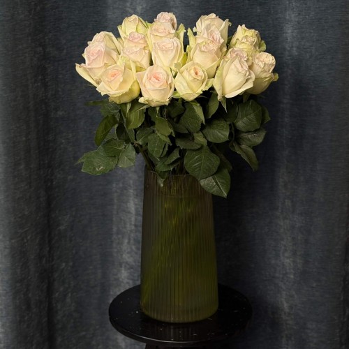 Fragrant White O'Hara Peony Rose