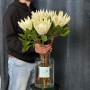 Arctic Ice Protea