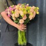 Alissa Peach & Alissa Pink Airy Seasonal Eustoma 