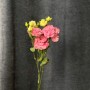 Alissa Peach & Alissa Pink Airy Seasonal Eustoma 