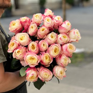 Fatima Gardens Peony Rose