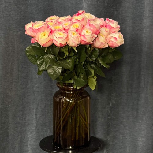 Fatima Gardens Peony Rose