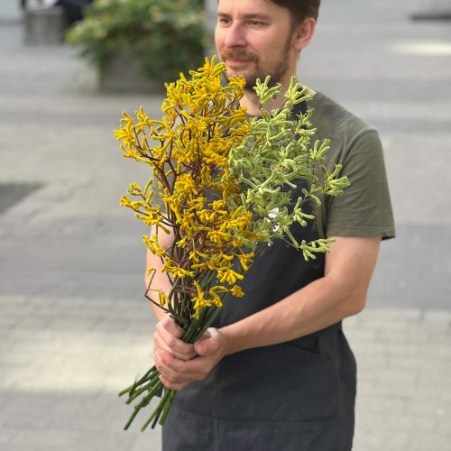Екзотичний анігозантус