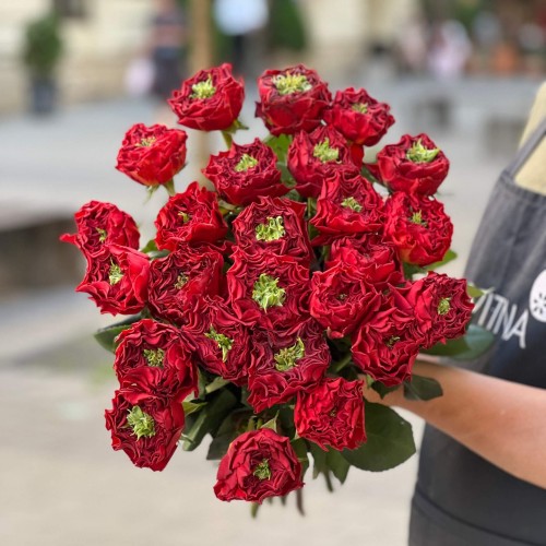 Півонієвидна троянда Red Monster