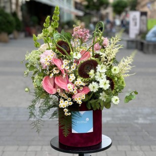 Charming Anthurium Arrangement in a Box «Olga's Little Summer»