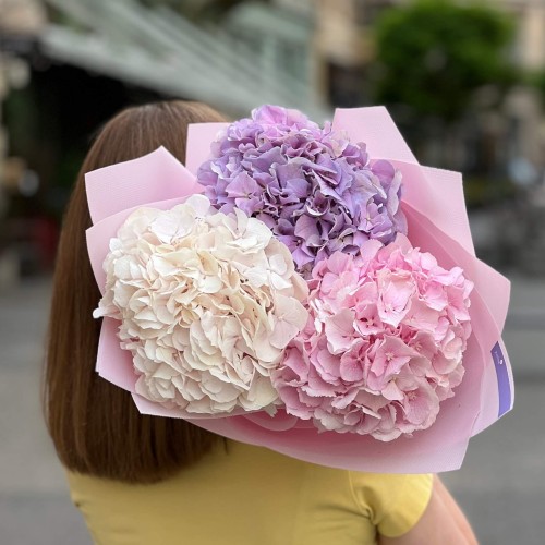 Bouquet of three delicate hydrangeas «Pastel Dreams»