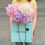 Bouquet of three delicate hydrangeas «Pastel Dreams»