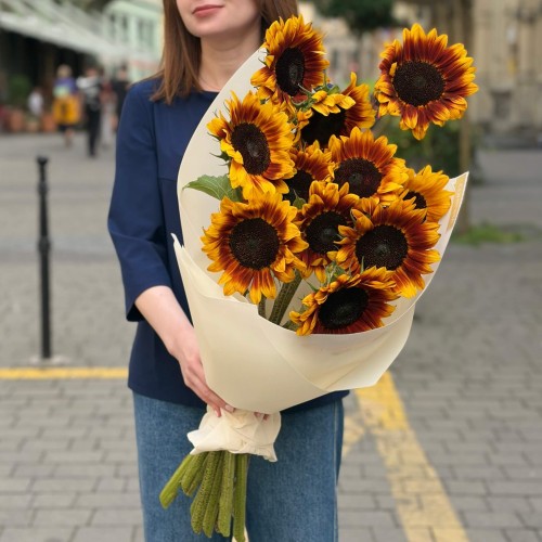 11 соняшників сорту Solano Flame у букеті «Багряне сонечко»