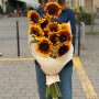 11 соняшників сорту Solano Flame у букеті «Багряне сонечко»