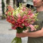 Assorted Antirrhinum