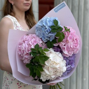 Bouquet of 5 hydrangeas with raspberry twigs «Colorful Summer»