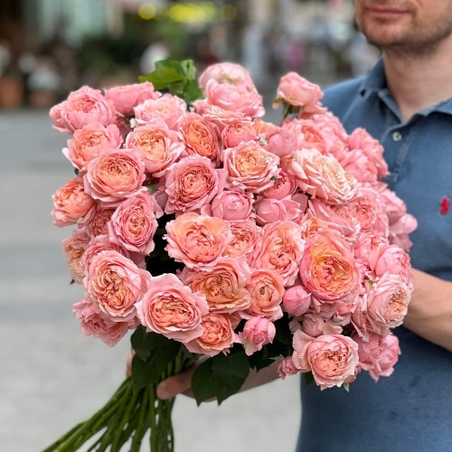 Juliet Spray Peony Rose