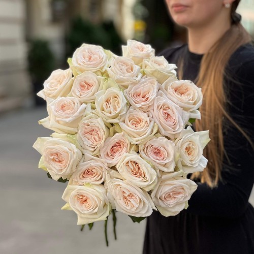 White O'Hara fragrant peony rose