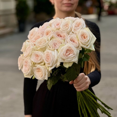 White O'Hara fragrant peony rose