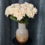 White O'Hara fragrant peony rose