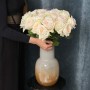 White O'Hara fragrant peony rose