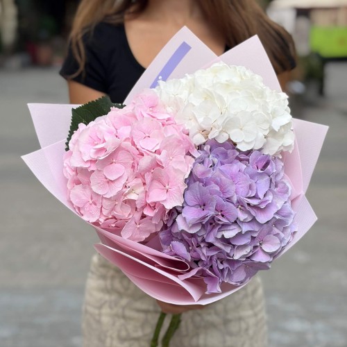Bouquet of three delicate hydrangeas «Clouds of Dreams»