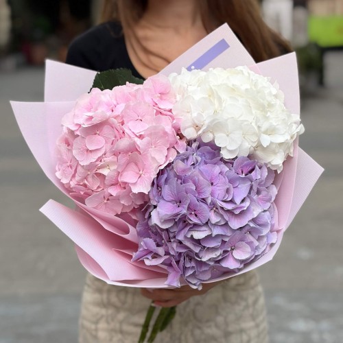Bouquet of three delicate hydrangeas «Clouds of Dreams»