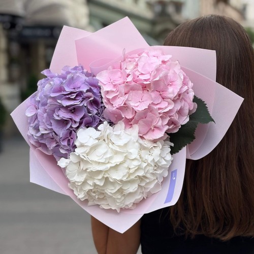 Bouquet of three delicate hydrangeas «Clouds of Dreams»