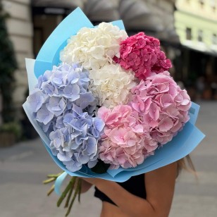 Mix of seven hydrangeas «Marshmallow Dream»