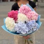 Mix of seven hydrangeas «Marshmallow Dream»