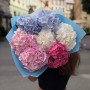 Mix of seven hydrangeas «Marshmallow Dream»
