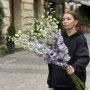 Дельфініум Dewi Impressive