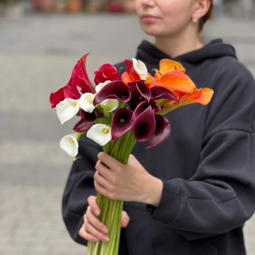Калла в асортименті