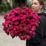 Кущова півонієвидна троянда Dima Bombastic