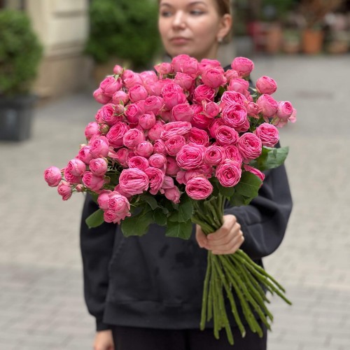 Кущова півонієвидна троянда Giselle