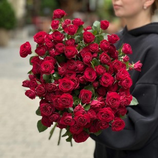 Кустовая роза Red Trendsetter