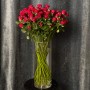 Кустовая роза Red Trendsetter