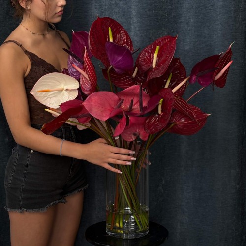 Mix of Anthuriums