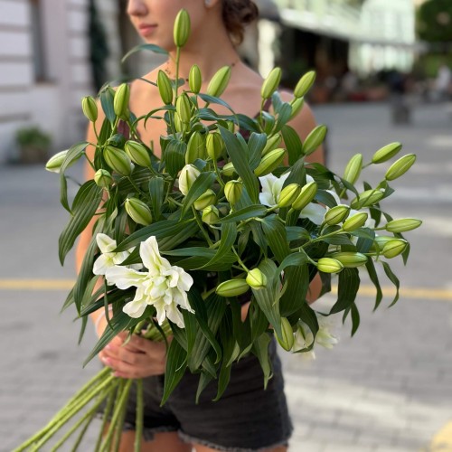 Лилия Bowl of Beauty