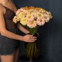 Цинія в асортименті
