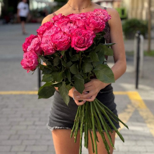 Country Blues Peony Rose