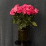 Country Blues Peony Rose