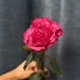 Country Blues Peony Rose