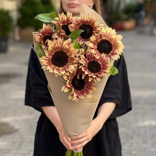 Bouquet of 11 ProCut Plum sunflowers «Solar Eclipse»