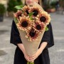 Bouquet of 11 ProCut Plum sunflowers «Solar Eclipse»