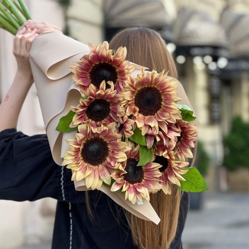 Bouquet of 11 ProCut Plum sunflowers «Solar Eclipse»