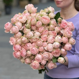 Silva Sweet Spray Peony Rose