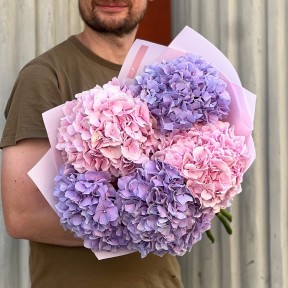 Bouquet of five hydrangeas «Romantic Dream»