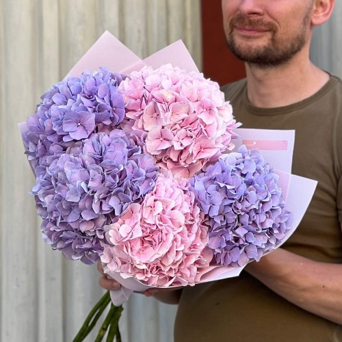 Bouquet of five hydrangeas «Romantic Dream»