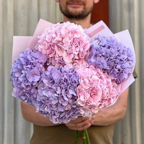 Bouquet of five hydrangeas «Romantic Dream»