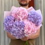 Bouquet of five hydrangeas «Romantic Dream»